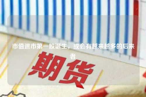 市值退市第一股诞生，或会有越来越多的后来者