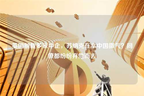 英国制裁多家中企，苏纳克在拿中国撒气？同僚都纷纷弃他而去
