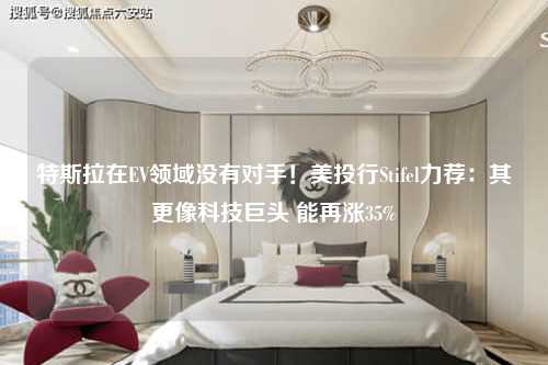 特斯拉在EV领域没有对手！美投行Stifel力荐：其更像科技巨头 能再涨35%